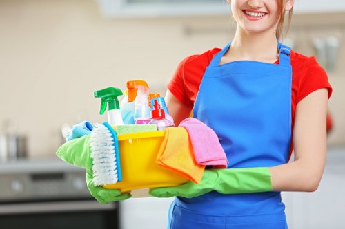 Accessible Elephantandcastle Carpet Cleaners website experience for users with assistive technology