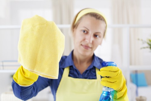 Professional pet stain odour removal in Elephantandcastle for carpets