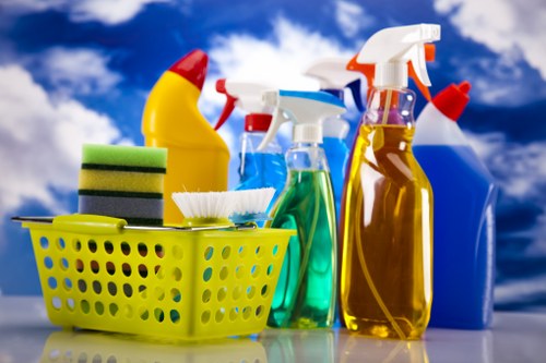 Protective gloves and cleaning tools used for carpet cleaning
