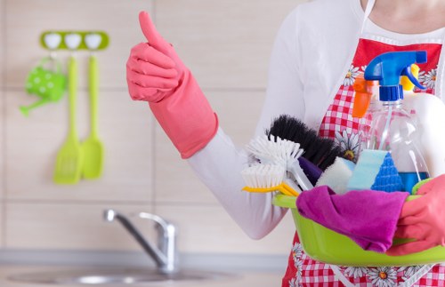 Steam or deep mattress cleaning equipment in a London home